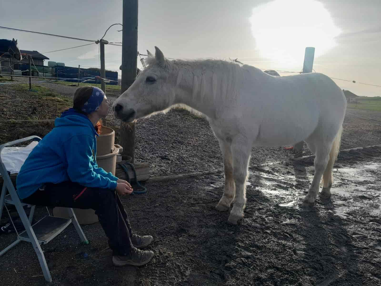 Luki seid 3 Jahren an meiner Seite und mein Lieblings-Pony