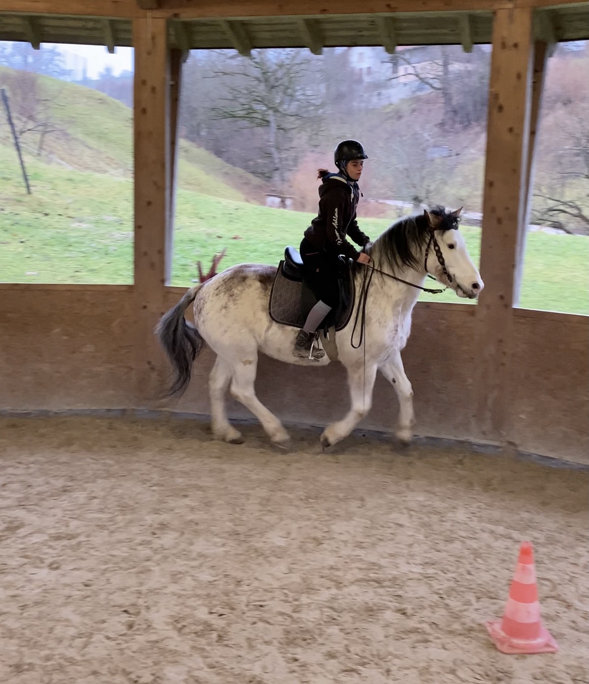 Reitstunde mit Bay Kahn auf dem Sellenhof